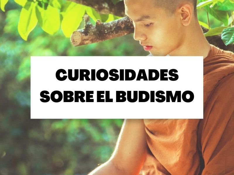 10 curiosidades sobre el budismo que te sorprenderán