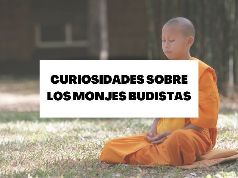 Seis curiosidades de los monjes budistas que debes conocer si visitas Asia